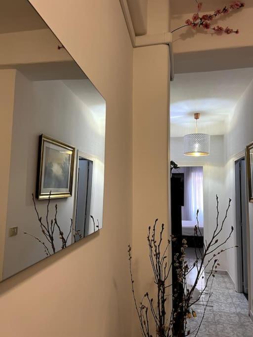 Apartment Candelor's House - & Garden In Gianicolense Rom